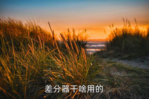 差分器干啥用的
