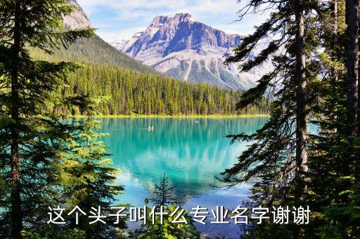 這個(gè)頭子叫什么專業(yè)名字謝謝