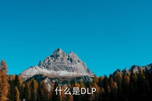 什么是DLP