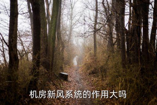 機(jī)房新風(fēng)系統(tǒng)的作用大嗎