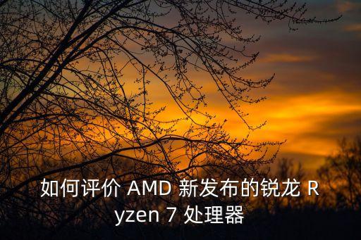 如何評(píng)價(jià) AMD 新發(fā)布的銳龍 Ryzen 7 處理器