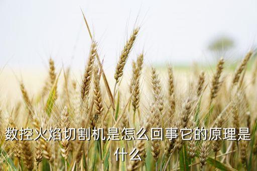 數(shù)控火焰切割機(jī)是怎么回事它的原理是什么
