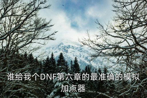 誰給我個DNF第六章的最準確的模擬加點器