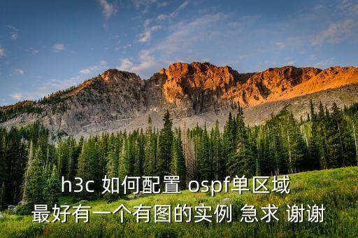 h3c 如何配置 ospf單區(qū)域 最好有一個有圖的實例 急求 謝謝