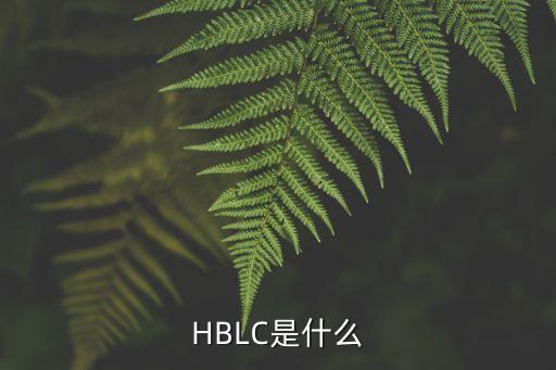 hdcp是什么，電腦hdo是什么意思