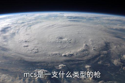 mcs是一支什么類型的槍