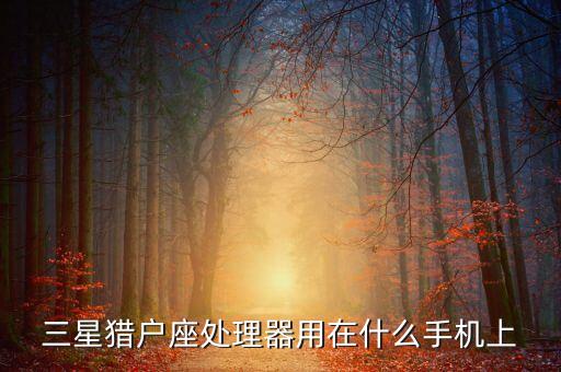 三星獵戶座處理器用在什么手機(jī)上