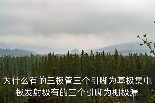 為什么有的三極管三個引腳為基極集電極發(fā)射極有的三個引腳為柵極漏