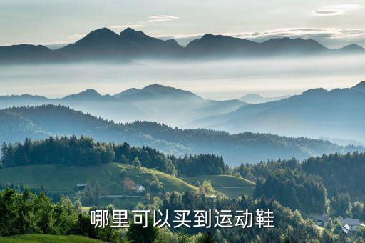 哪里可以買到運(yùn)動鞋