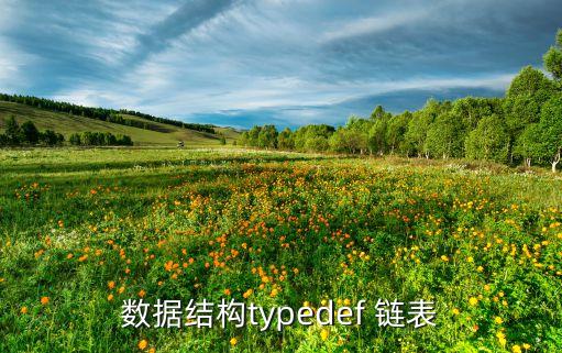 數(shù)據(jù)結(jié)構(gòu)typedef 鏈表