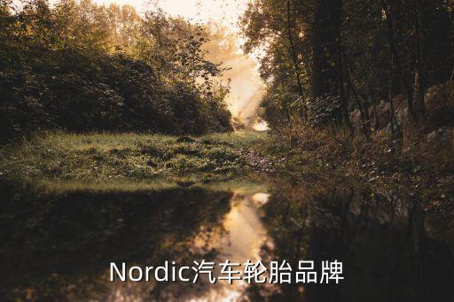 nordic，nordic 公司的無線模塊 nordic 中文名字是什么 是哪國的公司 產(chǎn)品怎樣