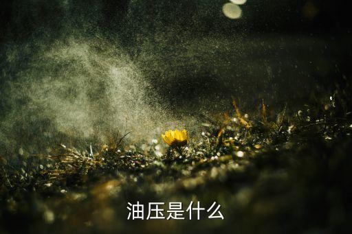 油壓是什么