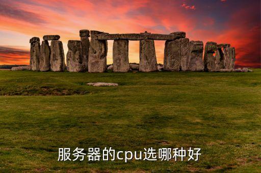服務(wù)器的cpu選哪種好