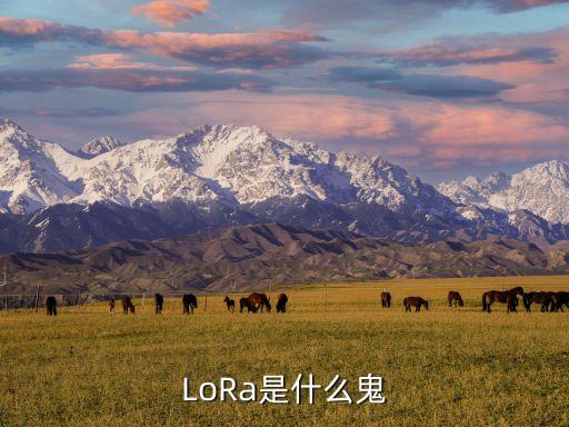 LoRa是什么鬼