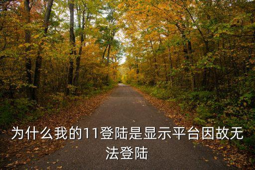 為什么我的11登陸是顯示平臺因故無法登陸