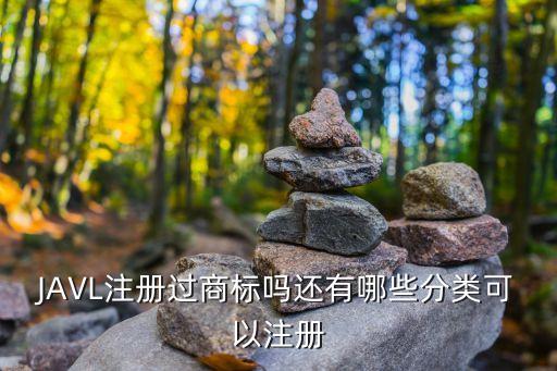 JAVL注冊(cè)過(guò)商標(biāo)嗎還有哪些分類可以注冊(cè)