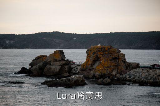 lora，Lora啥意思