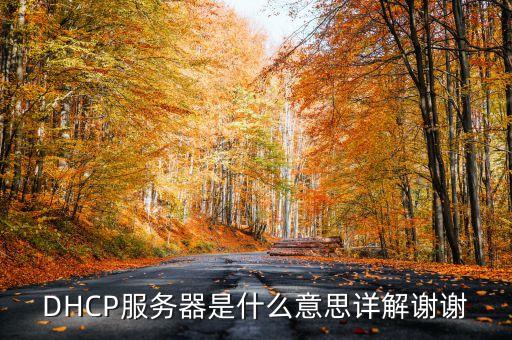 DHCP服務(wù)器是什么意思詳解謝謝