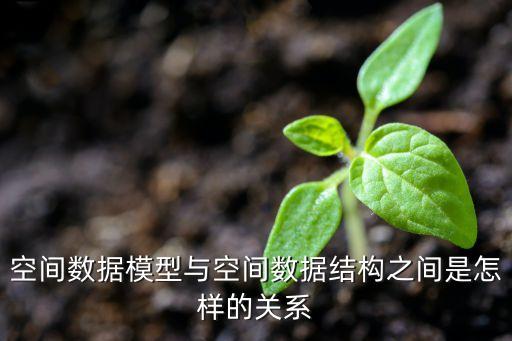 空間數(shù)據(jù)模型與空間數(shù)據(jù)結構之間是怎樣的關系