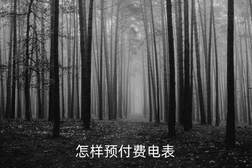 插卡預(yù)付費(fèi)電表，怎樣預(yù)付費(fèi)電表