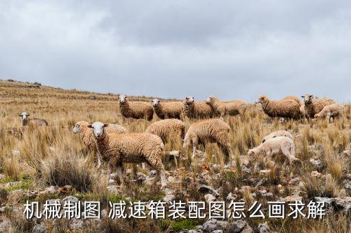 機(jī)械制圖 減速箱裝配圖怎么畫求解