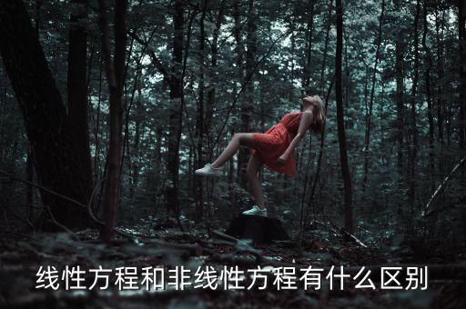 線性方程和非線性方程有什么區(qū)別