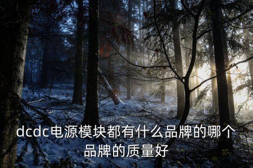 模塊電源廠家排名，dcdc電源模塊都有什么品牌的哪個(gè)品牌的質(zhì)量好