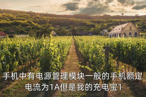 手機(jī)中有電源管理模塊一般的手機(jī)額定電流為1A但是我的充電寶1