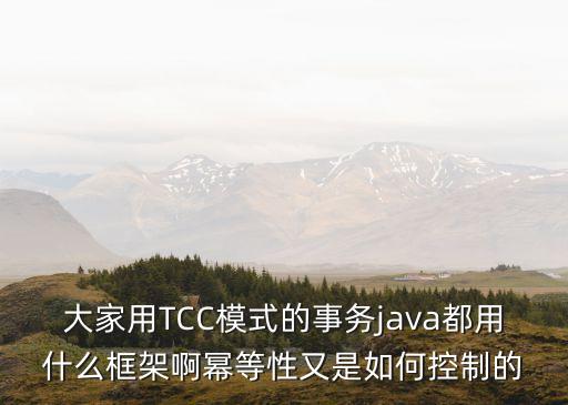 大家用TCC模式的事務(wù)java都用什么框架啊冪等性又是如何控制的