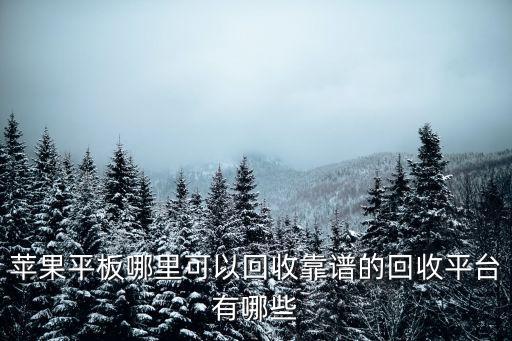 蘋果平板哪里可以回收靠譜的回收平臺有哪些
