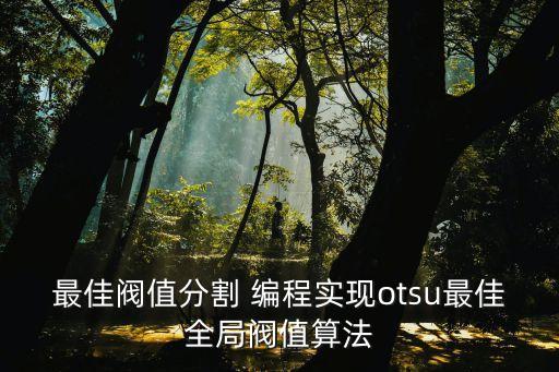 最佳閥值分割 編程實(shí)現(xiàn)otsu最佳全局閥值算法