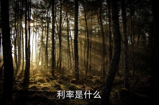 3rate美國(guó)，利率是什么