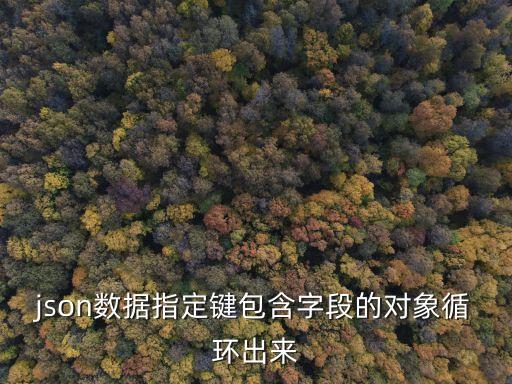json數據指定鍵包含字段的對象循環(huán)出來