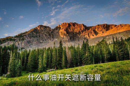 什么事油開關(guān)遮斷容量
