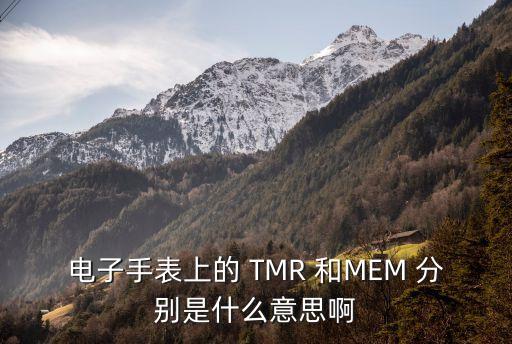 電子手表上的 TMR 和MEM 分別是什么意思啊