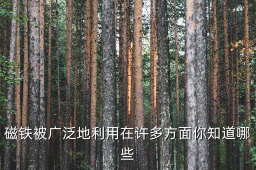 磁鐵被廣泛地利用在許多方面你知道哪些