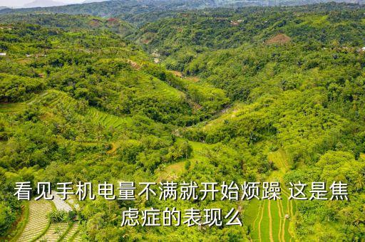 電量焦慮癥，看見(jiàn)手機(jī)電量不滿就開(kāi)始煩躁 這是焦慮癥的表現(xiàn)么