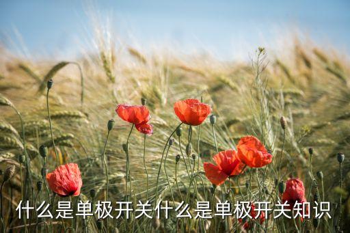 什么是單極開關(guān)什么是單極開關(guān)知識