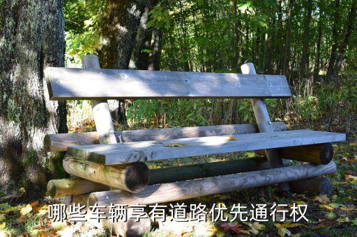 哪些車輛享有道路優(yōu)先通行權(quán)