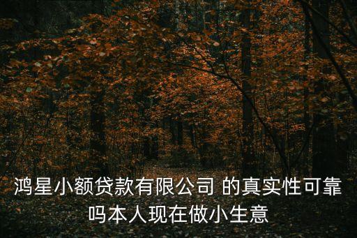 鴻星小額貸款有限公司 的真實性可靠嗎本人現在做小生意