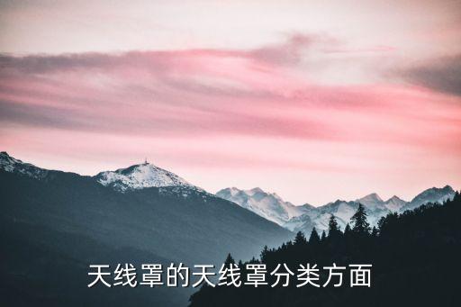 天線罩的天線罩分類方面