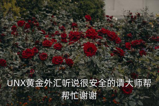 UNX黃金外匯聽說(shuō)很安全的請(qǐng)大師幫幫忙謝謝
