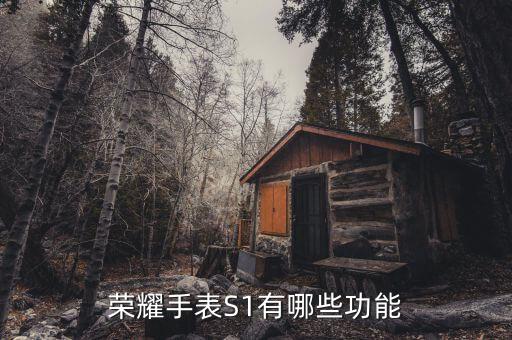 榮耀手表S1有哪些功能