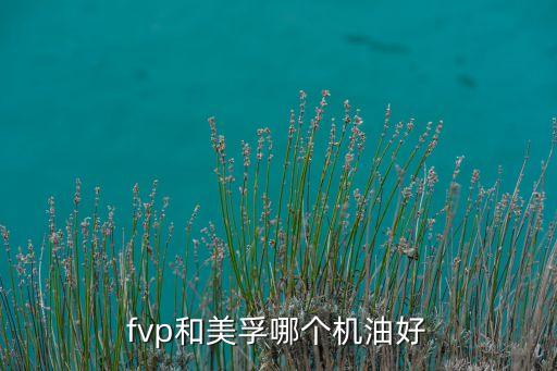fvp，fvp和美孚哪個(gè)機(jī)油好