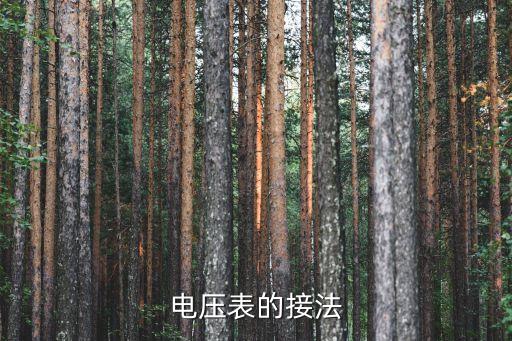 電壓表的接法