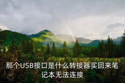 那個USB接口是什么轉(zhuǎn)接器買回來筆記本無法連接