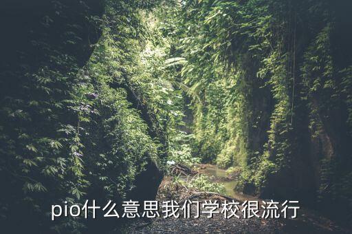 pio什么意思我們學校很流行