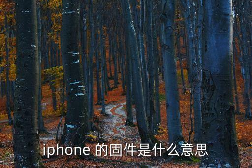 iphone固件，什么是ios系統(tǒng)的固件