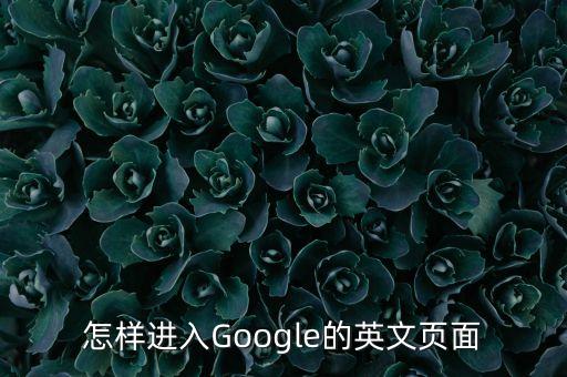 谷歌網(wǎng)頁版登錄入口，怎樣進(jìn)入Google的英文頁面
