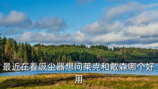 最近在看吸塵器想問萊克和戴森哪個好用